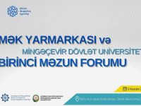 Mingəçevirdə Əmək Yarmarkası və MDU Birinci Məzun Forumu keçirilib