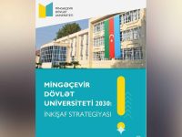 MDU-nun gənc müəllimləri ilə “Mingəçevir Dövlət Universiteti 2030: İnkişaf Strategiyası” müzakirə edilib