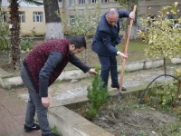 Mingəçevir Dövlət Universitetində (MDU) “Yaşıl dünya naminə həmrəylik ili” və “COP29” çərçivəsində ağacəkmə aksiyası uğurla davam edir