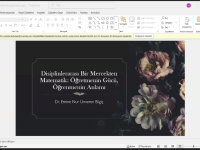 MDU-da Düzce Universiteti ilə əməkdaşlıq çərçivəsində növbəti ustad dərsi keçirilib