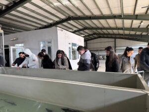 WhatsApp Image 2026-033-29 at 20.24.44