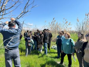 WhatsApp Image 2026-04-04 at 15.55.50 (2)