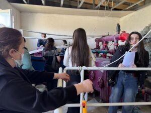 WhatsApp Image 2026-04-04 at 15.55.50