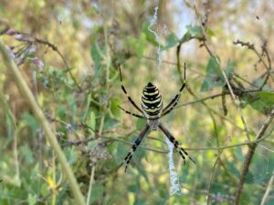 WhatsApp Image 2026-04-05 at 14.19.26