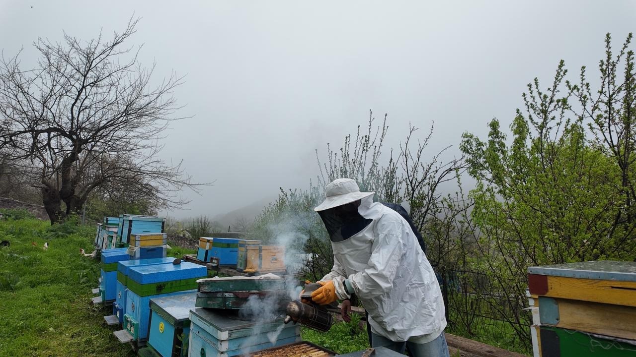 Innovative Research by an MDU Graduate Student: The Instinctive System of Bees as the Future of Green Technologies